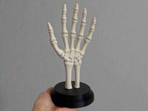 Skeleton Hand Jewelry Holder Gothic Home Decor